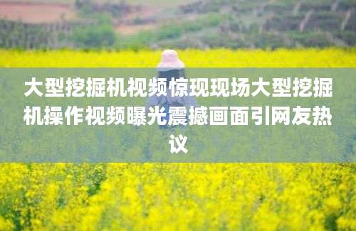 大型挖掘机视频惊现现场大型挖掘机操作视频曝光震撼画面引网友热议