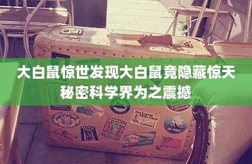 大白鼠惊世发现大白鼠竟隐藏惊天秘密科学界为之震撼