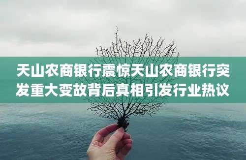 天山农商银行震惊天山农商银行突发重大变故背后真相引发行业热议