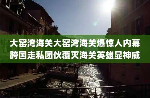 大窑湾海关大窑湾海关爆惊人内幕跨国走私团伙覆灭海关英雄显神威