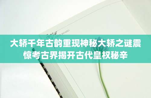大轿千年古韵重现神秘大轿之谜震惊考古界揭开古代皇权秘辛