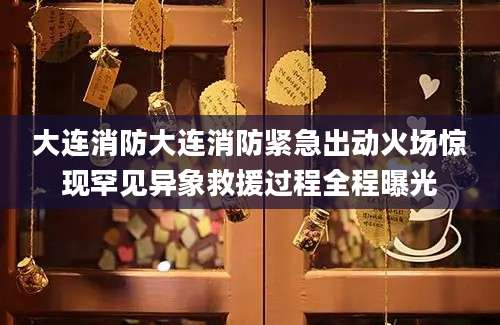 大连消防大连消防紧急出动火场惊现罕见异象救援过程全程曝光