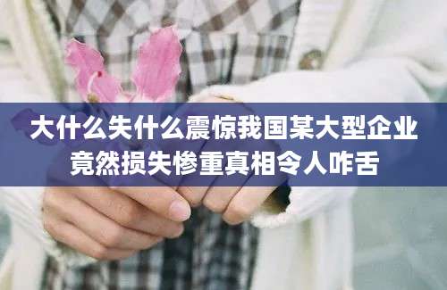 大什么失什么震惊我国某大型企业竟然损失惨重真相令人咋舌