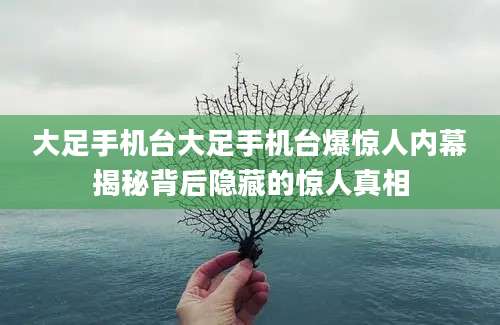 大足手机台大足手机台爆惊人内幕揭秘背后隐藏的惊人真相
