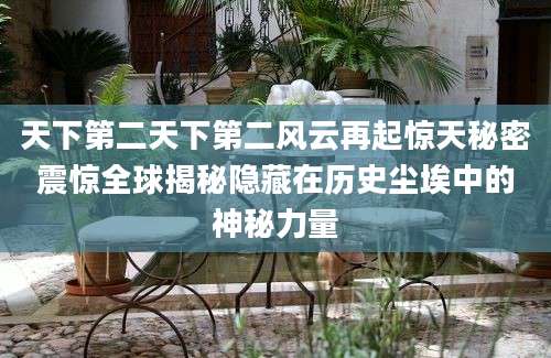 天下第二天下第二风云再起惊天秘密震惊全球揭秘隐藏在历史尘埃中的神秘力量