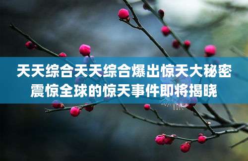 天天综合天天综合爆出惊天大秘密震惊全球的惊天事件即将揭晓
