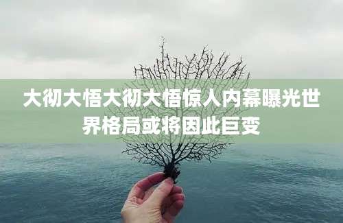 大彻大悟大彻大悟惊人内幕曝光世界格局或将因此巨变