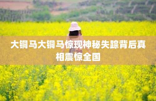 大铜马大铜马惊现神秘失踪背后真相震惊全国