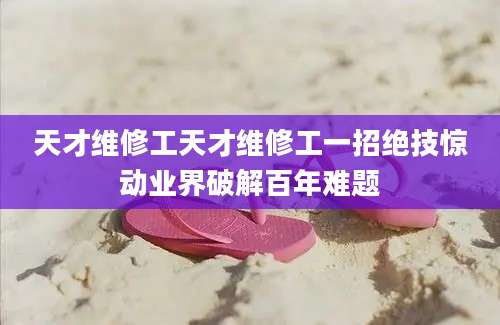 天才维修工天才维修工一招绝技惊动业界破解百年难题