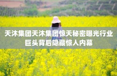 天沐集团天沐集团惊天秘密曝光行业巨头背后隐藏惊人内幕